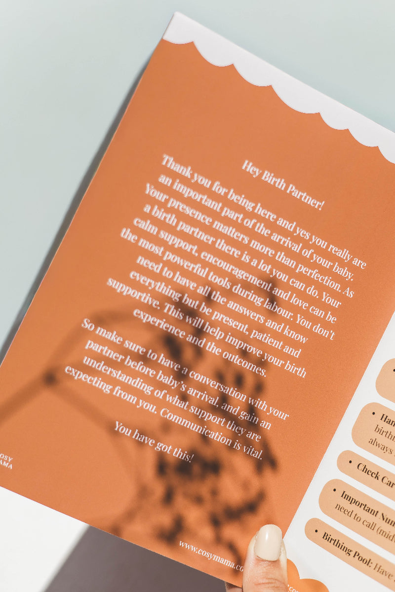 Orange and white Birth partner guide booklet open about childbirth support on a light gray background