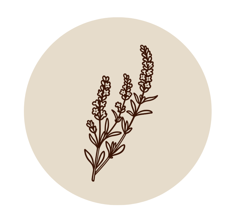 lavender line art
