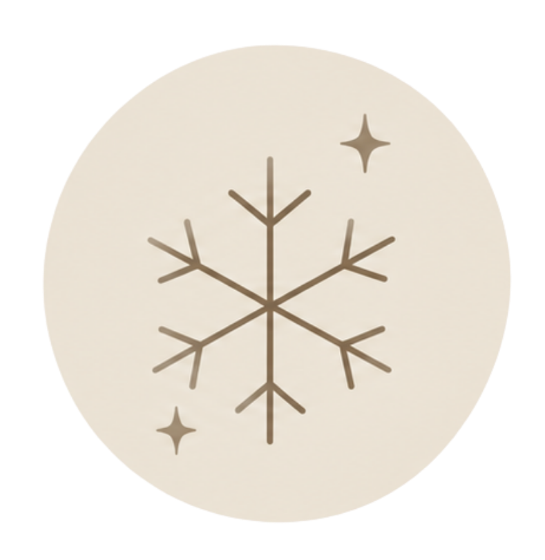 A minimalist circular graphic featuring a brown snowflake and two small stars on a warm beige background, centered on a solid black backdrop.